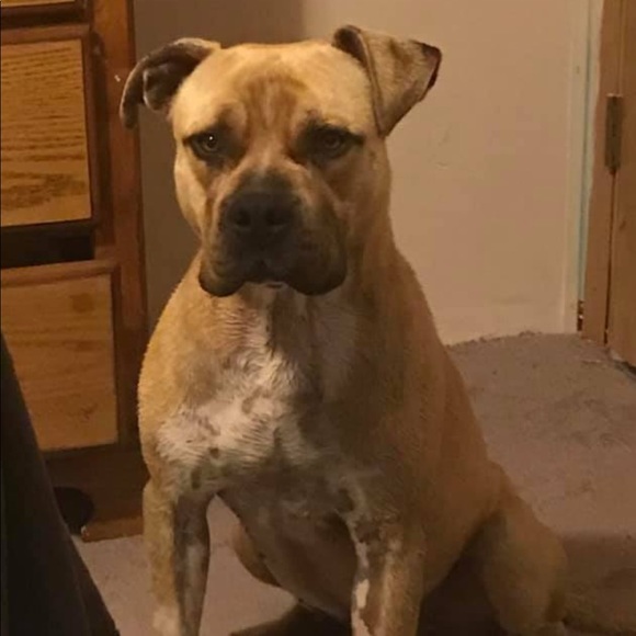 rudegargoyle